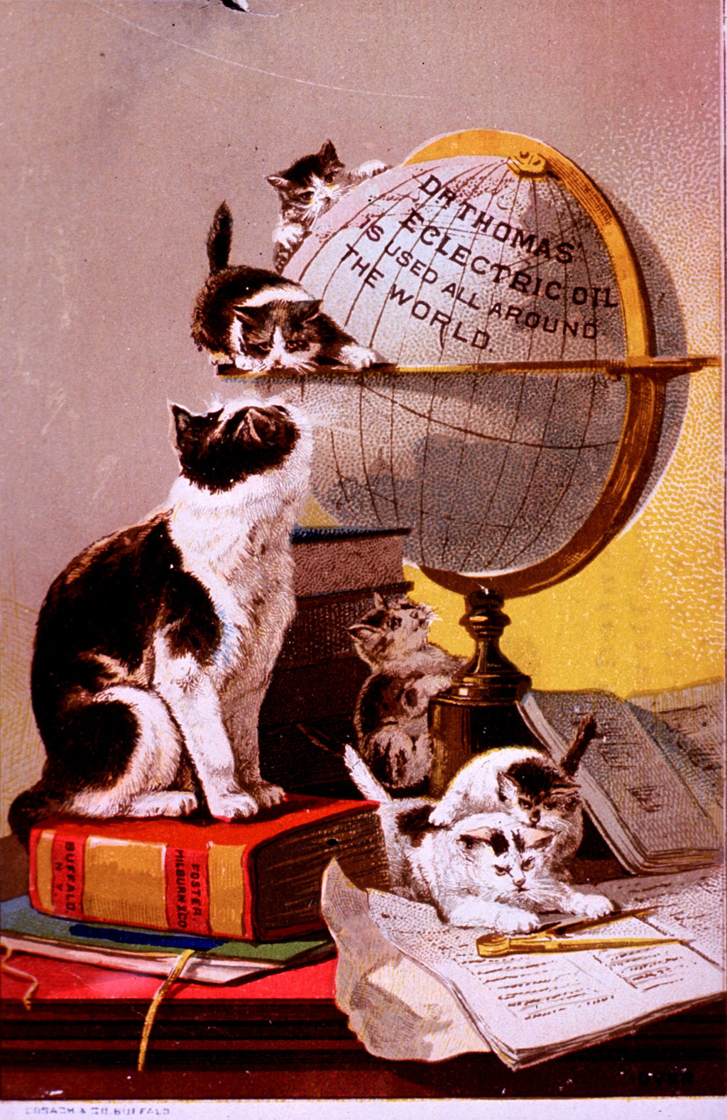 "Dr. Thomas' Eclectric Oil – Used All Around the World" (c.1880s) - Classic Victorian Trade Card TheHistoryPrint