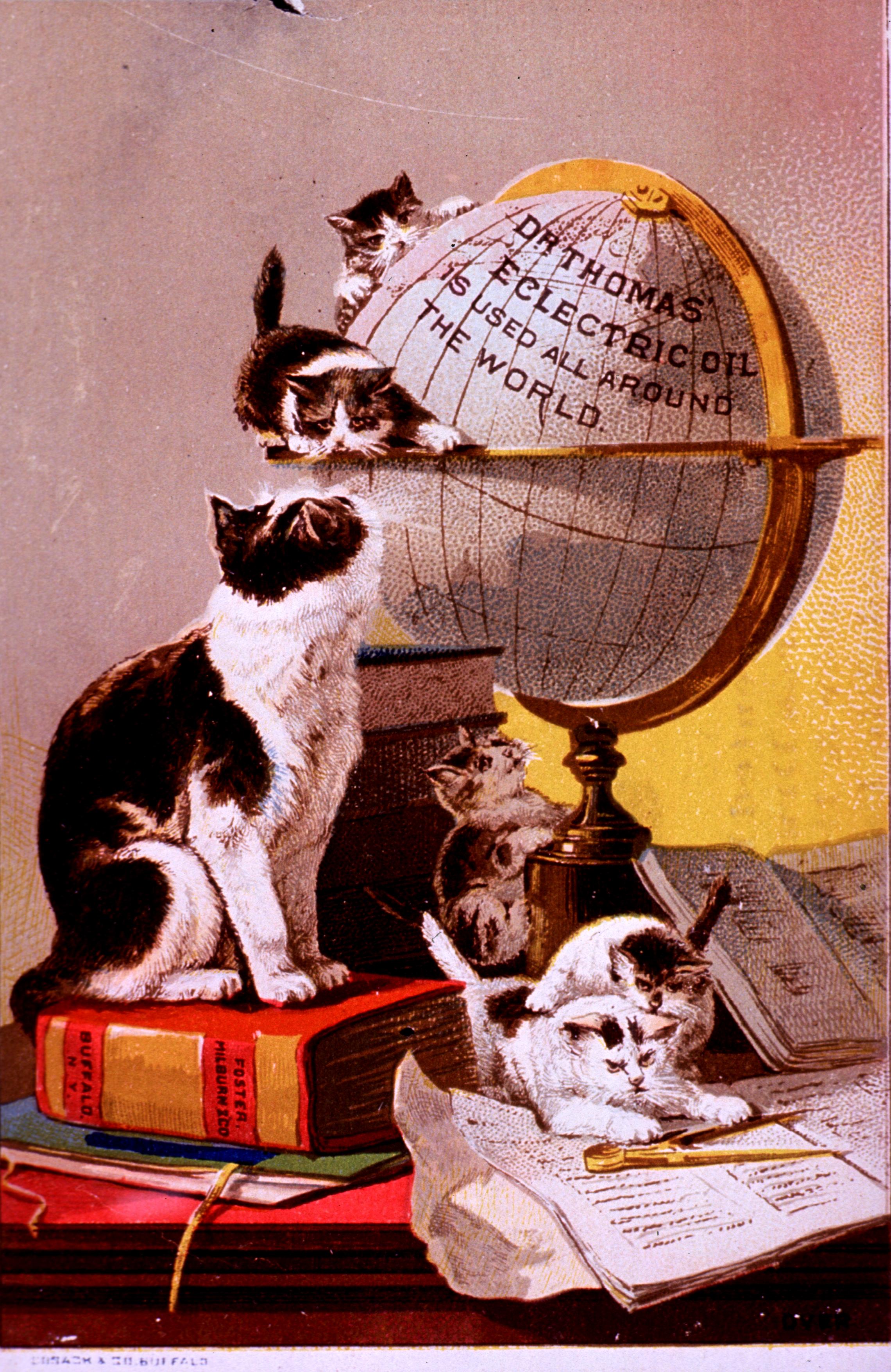 "Dr. Thomas' Eclectric Oil – Used All Around the World" (c.1880s) - Classic Victorian Trade Card TheHistoryPrint