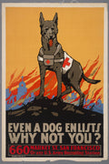 "Even a Dog Enlists — Why Not You?" - WW1 Recruitment Propaganda Poster TheHistoryPrint