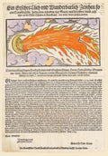 "Ein Erschrecklich und Wunderbarlich Zeichen" – Michael de Nostre Dame, 1554 - Classic Historical Broadsheet Print TheHistoryPrint